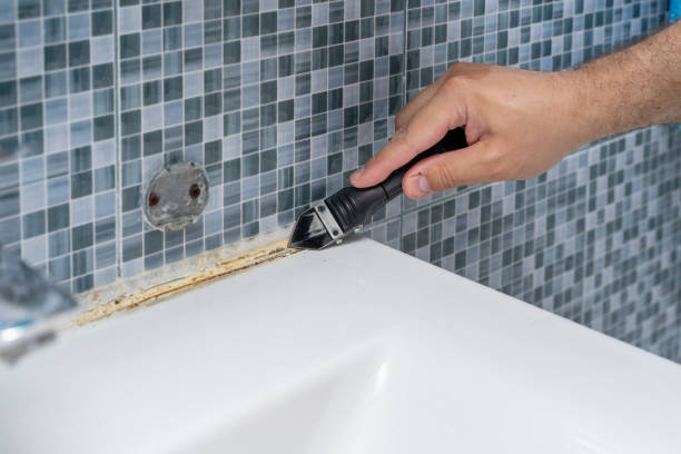 Best Kitchen Mold Remediation in Limesa, CA